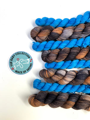 Bentley's Collar Accent Color- Full Skein